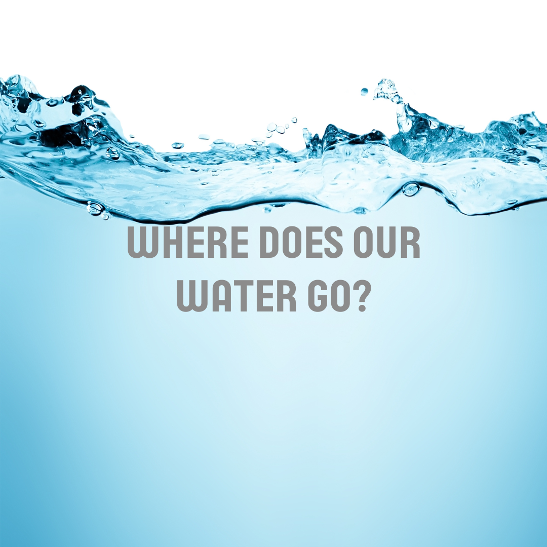 image saying where does our water go