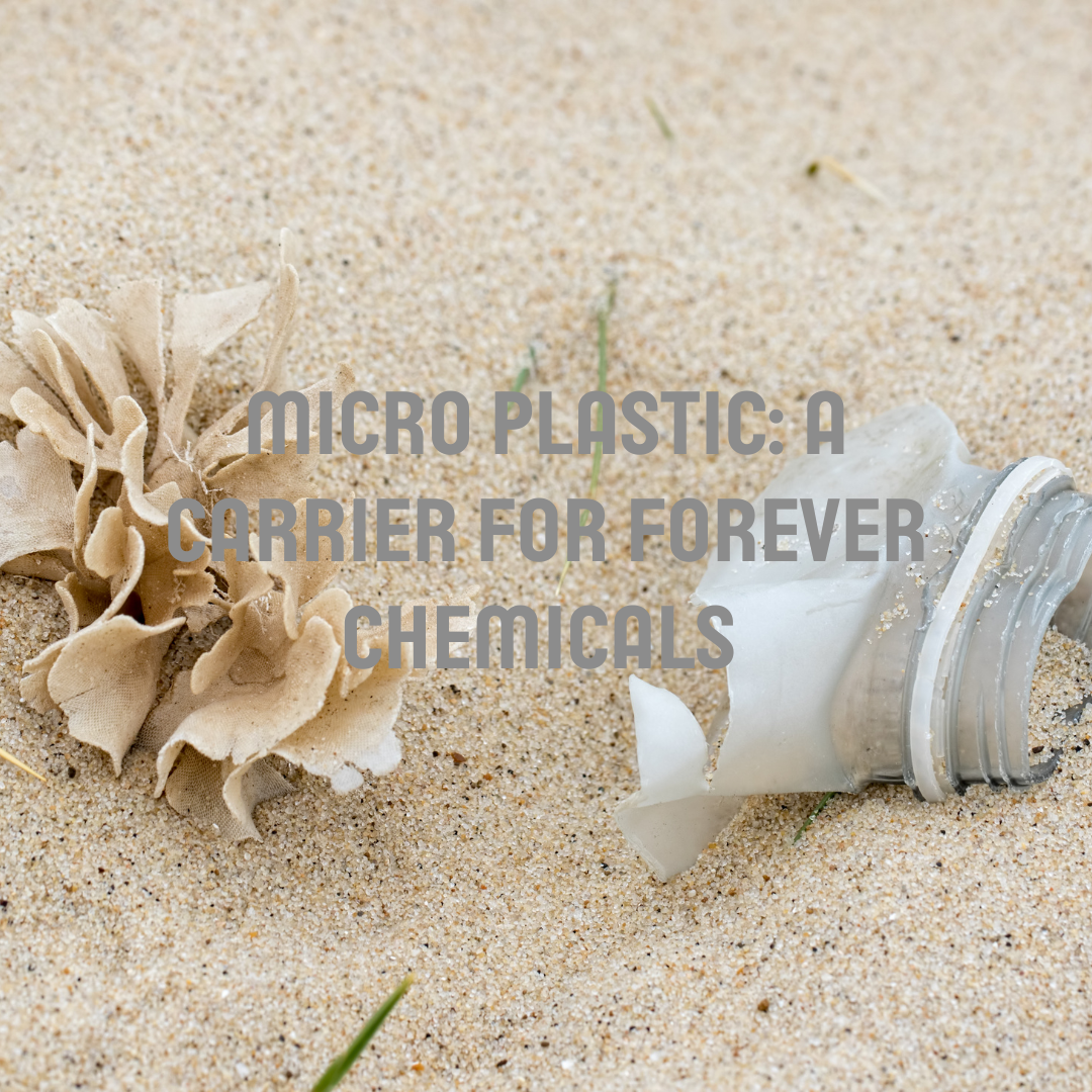 microplastics in beach