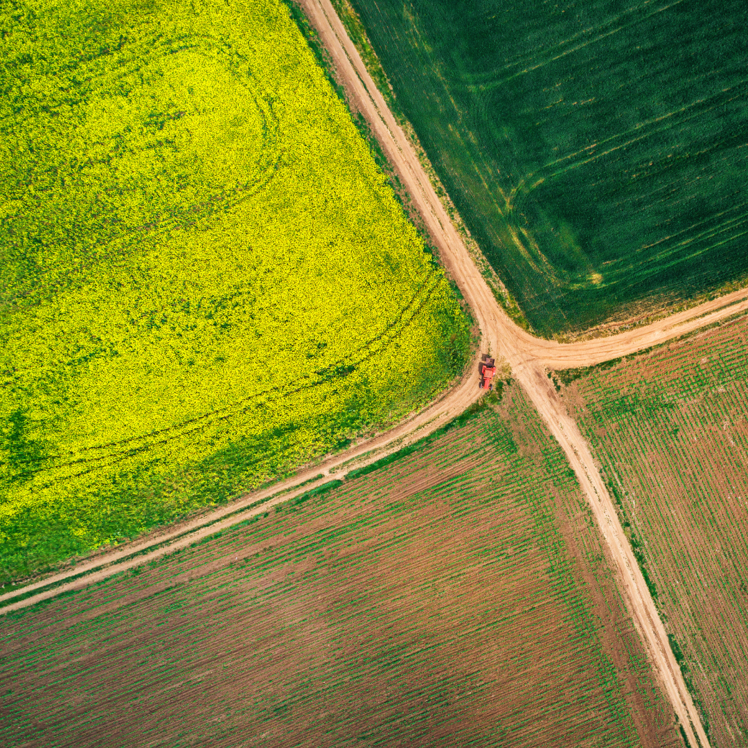 image saying "Microplastics Contamination of Crops"