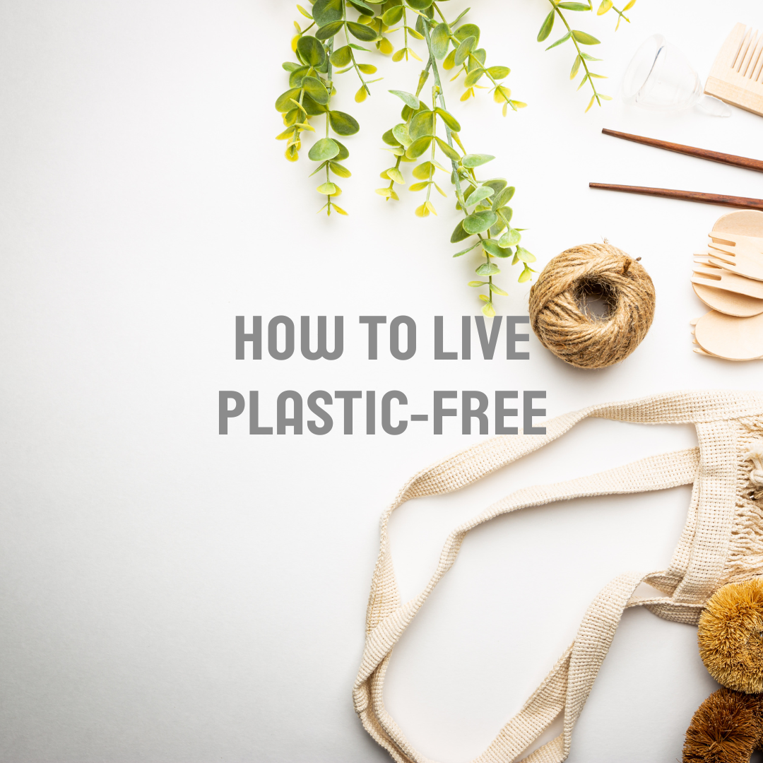 image saying "how to live plastic-free"